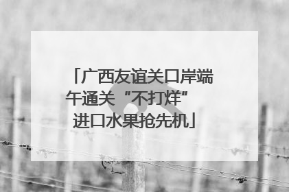 广西友谊关口岸端午通关“不打烊” 进口水果抢先机