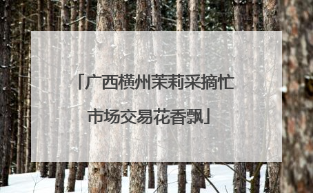 广西横州茉莉采摘忙 市场交易花香飘