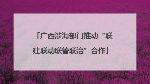 广西涉海部门推动“联建联动联管联治”合作