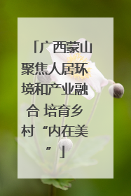 广西蒙山聚焦人居环境和产业融合 培育乡村“内在美”