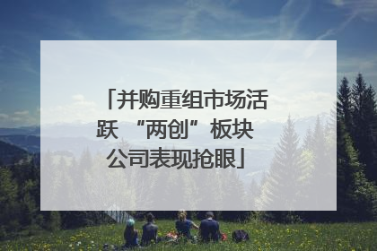 并购重组市场活跃 “两创”板块公司表现抢眼