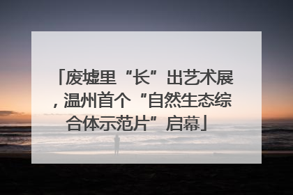 废墟里“长”出艺术展，温州首个“自然生态综合体示范片”启幕