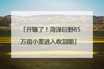 开镰了！菏泽巨野85万亩小麦进入收割期