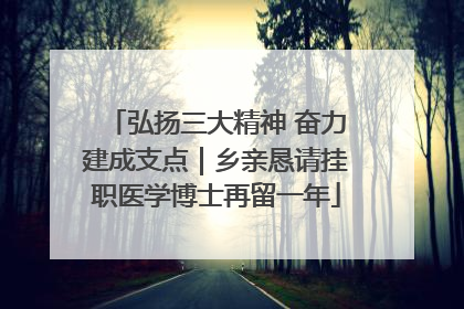 弘扬三大精神 奋力建成支点｜乡亲恳请挂职医学博士再留一年