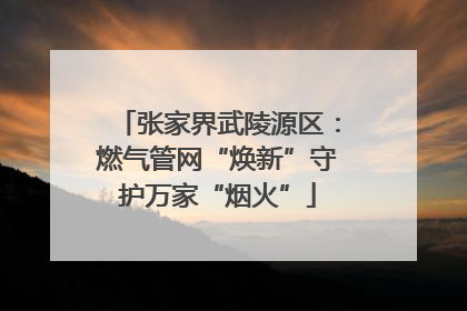 张家界武陵源区：燃气管网“焕新”守护万家“烟火”