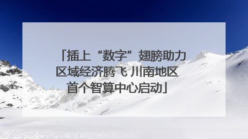 插上“数字”翅膀助力区域经济腾飞 川南地区首个智算中心启动