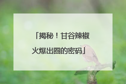 揭秘！甘谷辣椒火爆出圈的密码