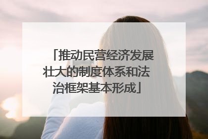推动民营经济发展壮大的制度体系和法治框架基本形成