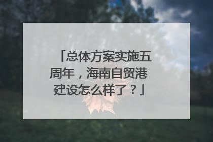 总体方案实施五周年，海南自贸港建设怎么样了？