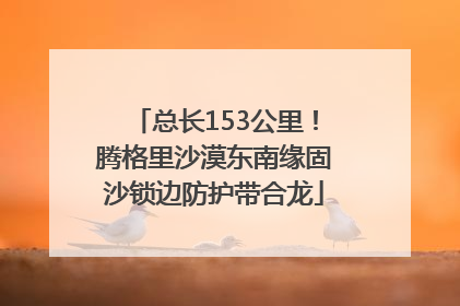 总长153公里！腾格里沙漠东南缘固沙锁边防护带合龙