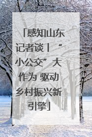 感知山东记者谈丨“小公交”大作为 驱动乡村振兴新引擎