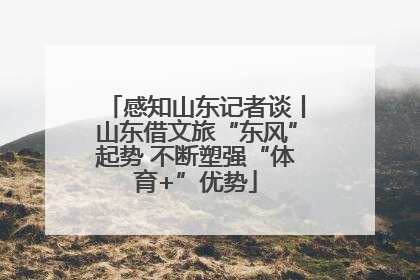 感知山东记者谈丨山东借文旅“东风”起势 不断塑强“体育+”优势