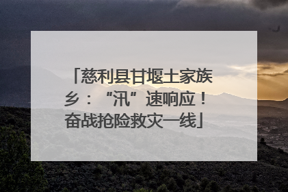 慈利县甘堰土家族乡：“汛”速响应！奋战抢险救灾一线