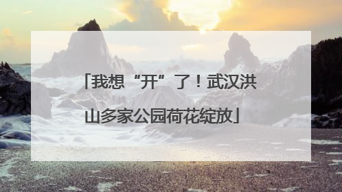 我想“开”了！武汉洪山多家公园荷花绽放