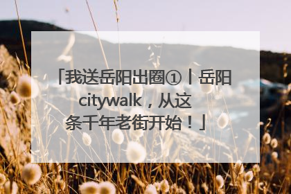 我送岳阳出圈①丨岳阳citywalk，从这条千年老街开始！