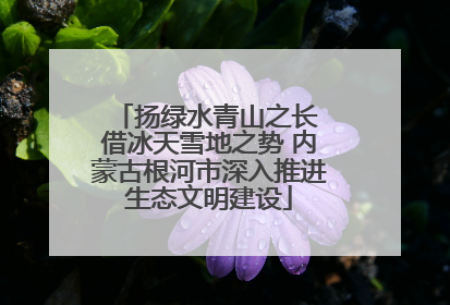扬绿水青山之长 借冰天雪地之势 内蒙古根河市深入推进生态文明建设