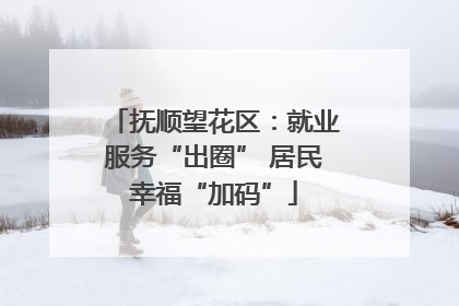 抚顺望花区：就业服务“出圈” 居民幸福“加码”