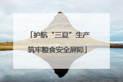 护航“三夏”生产 筑牢粮食安全屏障