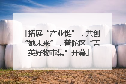 拓展“产业链”，共创“她未来”，普陀区“菁英好物市集”开幕