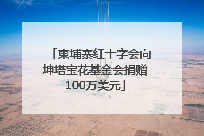 柬埔寨红十字会向坤塔宝花基金会捐赠100万美元