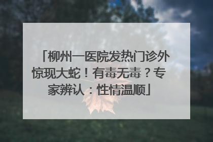 柳州一医院发热门诊外惊现大蛇！有毒无毒？专家辨认：性情温顺