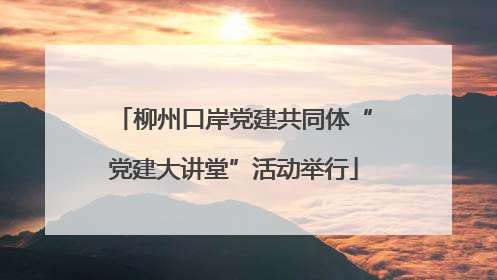 柳州口岸党建共同体“党建大讲堂”活动举行