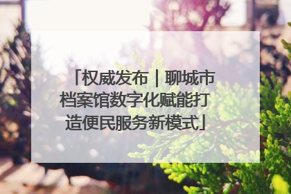 权威发布｜聊城市档案馆数字化赋能打造便民服务新模式