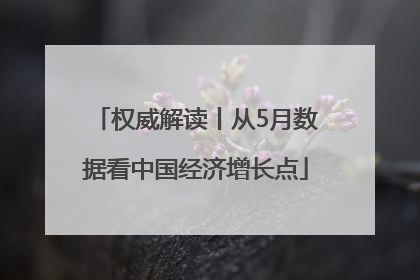 权威解读丨从5月数据看中国经济增长点