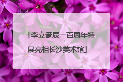 李立诞辰一百周年特展亮相长沙美术馆