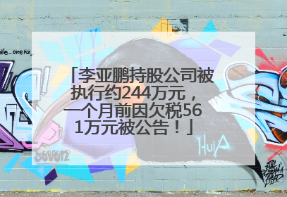 李亚鹏持股公司被执行约244万元，一个月前因欠税561万元被公告！