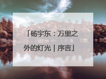杨宇东：万里之外的灯光｜序言