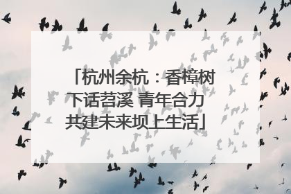 杭州余杭：香樟树下话苕溪 青年合力共建未来坝上生活