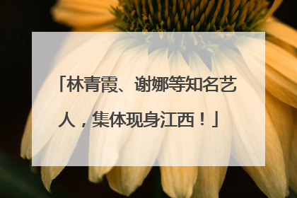 林青霞、谢娜等知名艺人，集体现身江西！