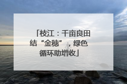 枝江：千亩良田结“金穗”，绿色循环助增收