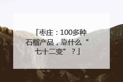 枣庄：100多种石榴产品，靠什么“七十二变”？