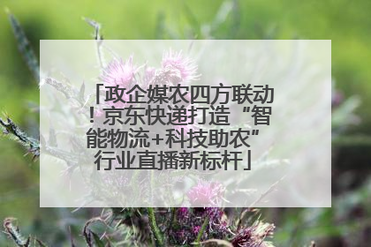 政企媒农四方联动！京东快递打造“智能物流+科技助农”行业直播新标杆