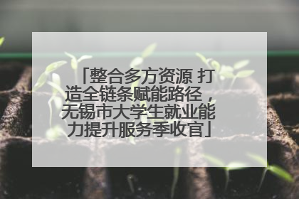 整合多方资源 打造全链条赋能路径，无锡市大学生就业能力提升服务季收官