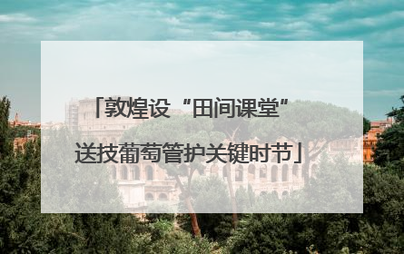 敦煌设“田间课堂” 送技葡萄管护关键时节