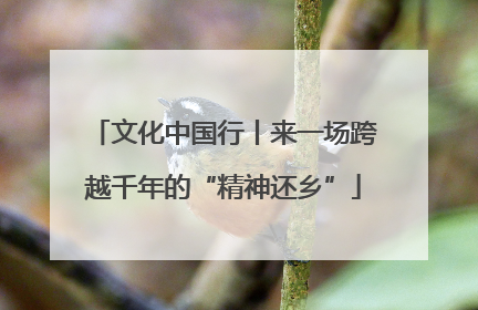 文化中国行丨来一场跨越千年的“精神还乡”