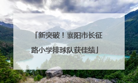 新突破！襄阳市长征路小学排球队获佳绩