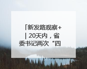 新发路观察+｜20天内，省委书记两次“四不两直”暗访，有何深意？