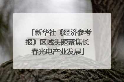 新华社《经济参考报》区域头题聚焦长春光电产业发展