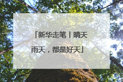 新华走笔丨晴天雨天，都是好天