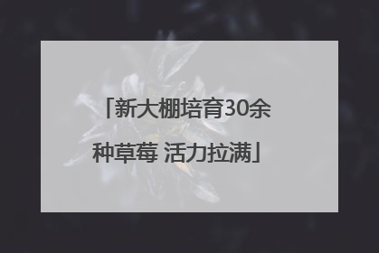 新大棚培育30余种草莓 活力拉满