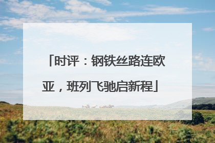 时评：钢铁丝路连欧亚，班列飞驰启新程