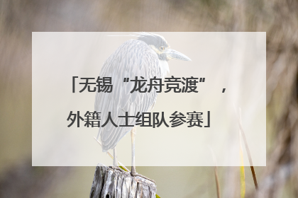 无锡“龙舟竞渡”，外籍人士组队参赛