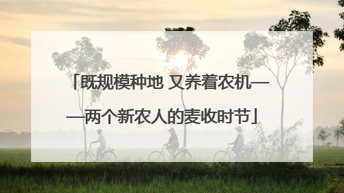 既规模种地 又养着农机——两个新农人的麦收时节