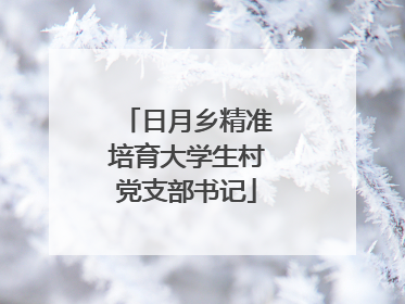 日月乡精准培育大学生村党支部书记