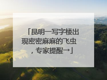 昆明一写字楼出现密密麻麻的飞虫，专家提醒→