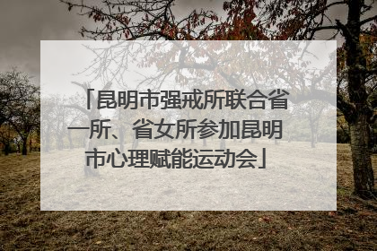 昆明市强戒所联合省一所、省女所参加昆明市心理赋能运动会